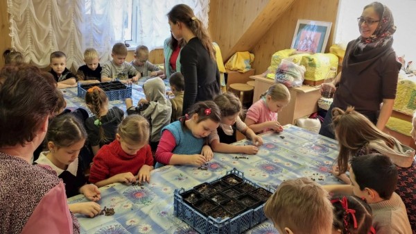 Посадка кедров на территории Данииловского храма Нахабино